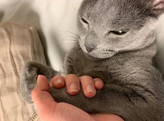 ごめんなさい🙇