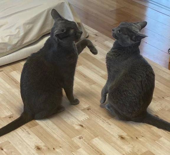 右すね強打事件