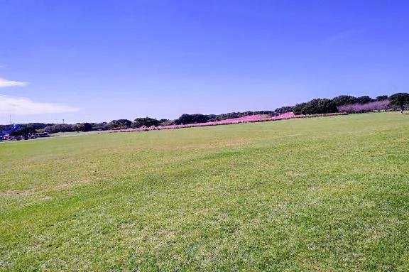 広い公園