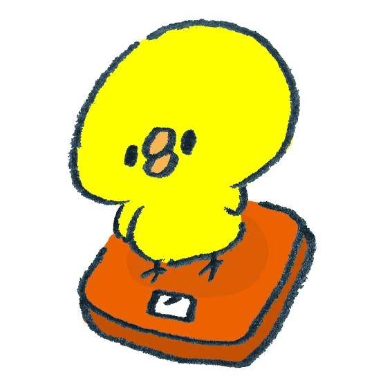 今日から！！！