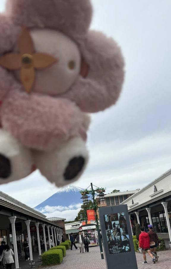 よっっっっ👋‼️‼️