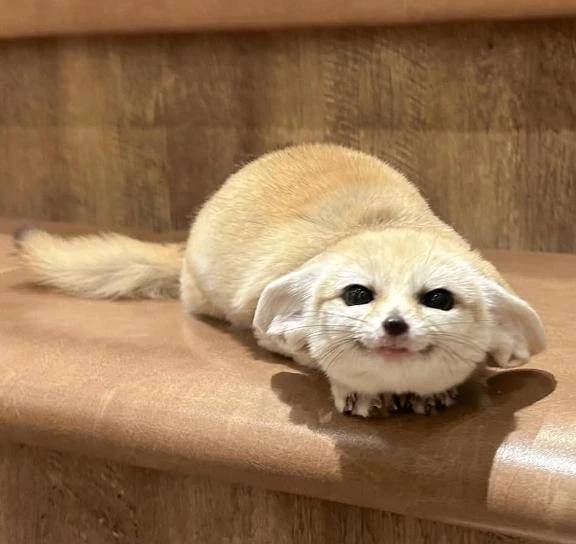 すごい可愛い子が！