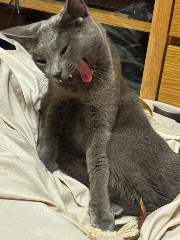 生きてますごめん！！！