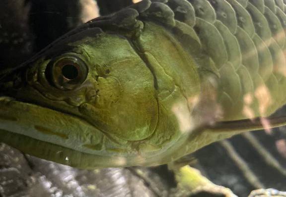 好きなの𓂃🫧‪