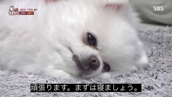 本指名様ありがとうございます♡