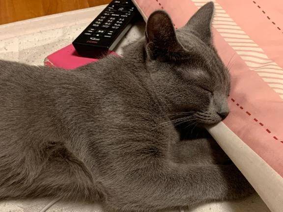 給料日前は寂しいよね