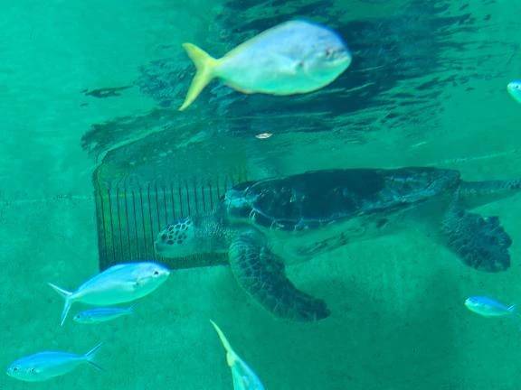 大事にしてること‼️