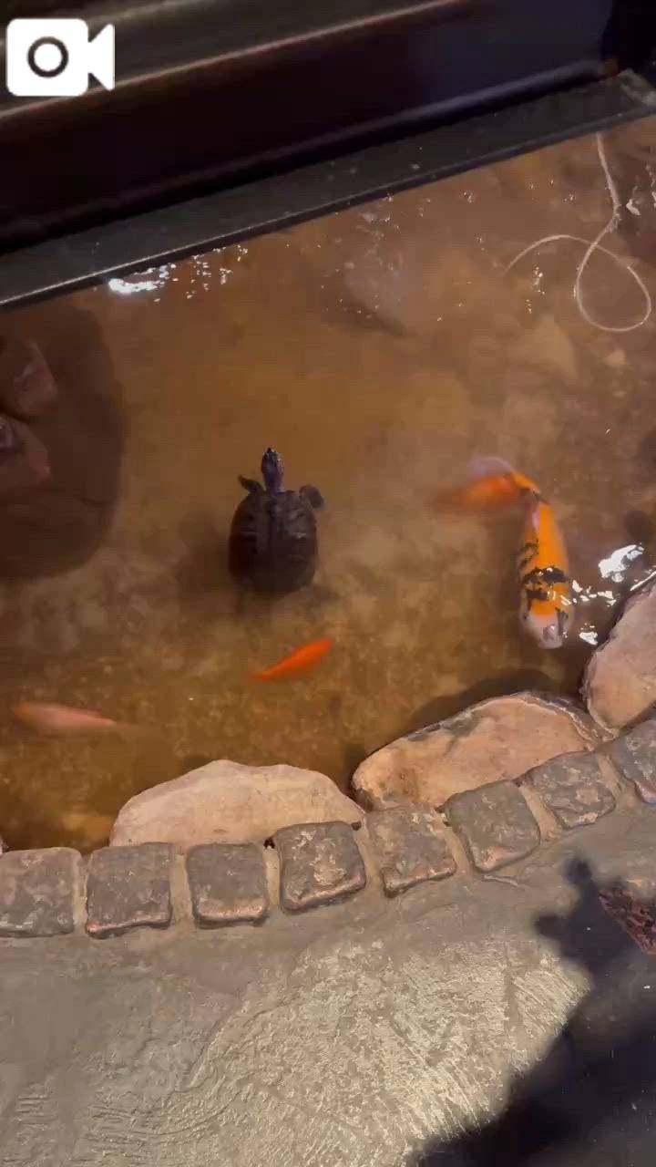 ❤️‍🔥❤️‍🔥❤️‍🔥