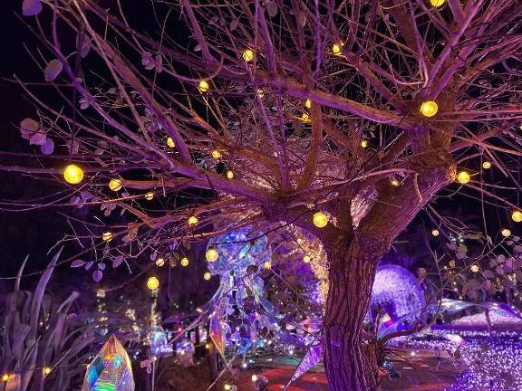 次回🈳16時15分〜🌙