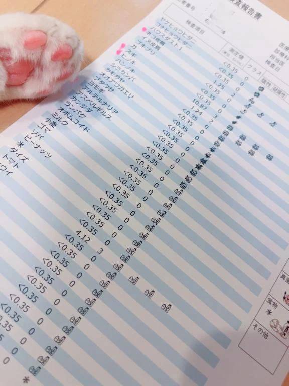 猫アレルギーだった件