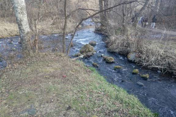 こういうところも好き😍