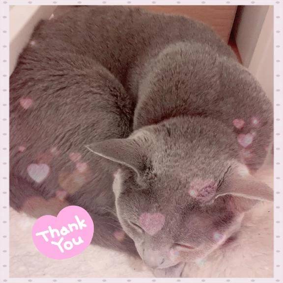 また来週会おうねദി^._.^)