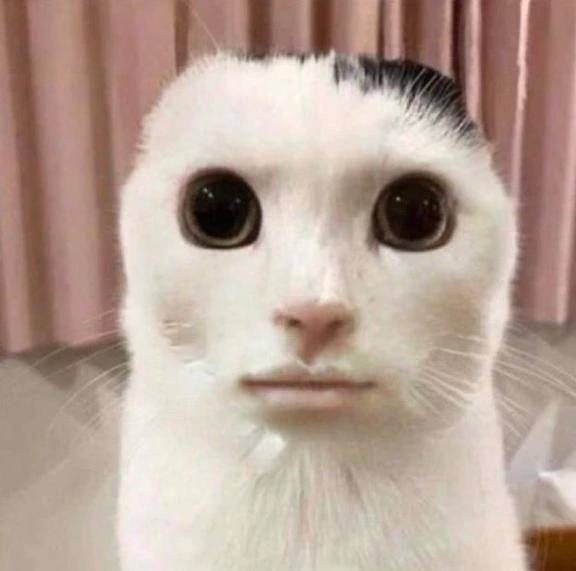 早退するかも！