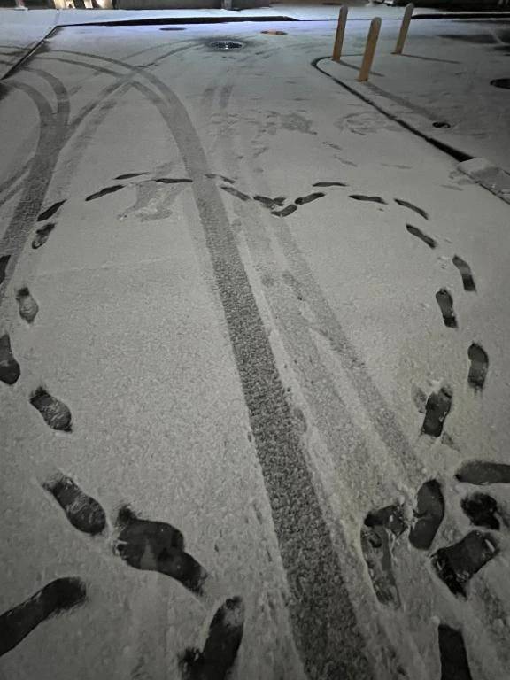 雪遊び⛄️❄️