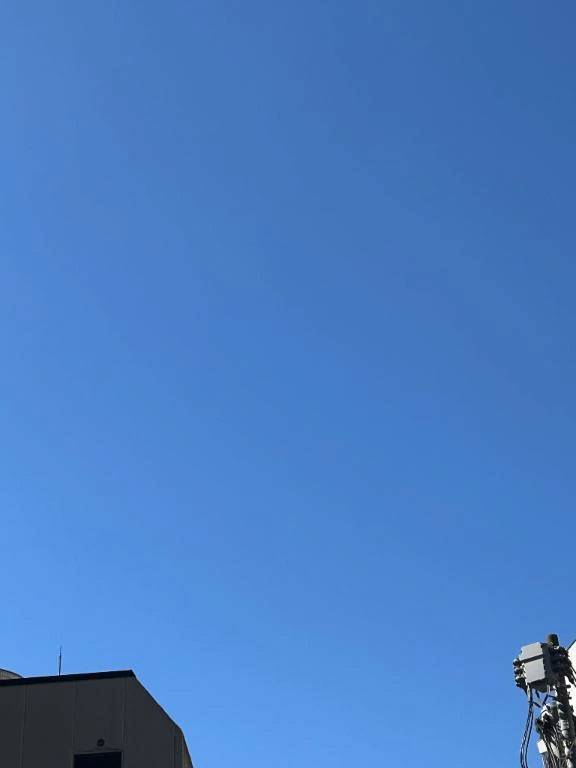 今日いい天気だね〜🌞