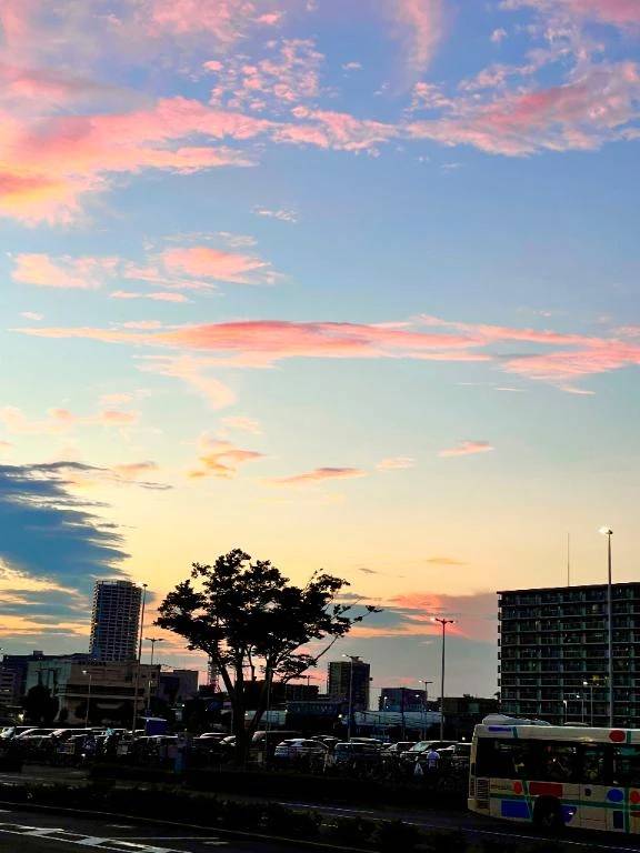 朝から寂しいね🥹