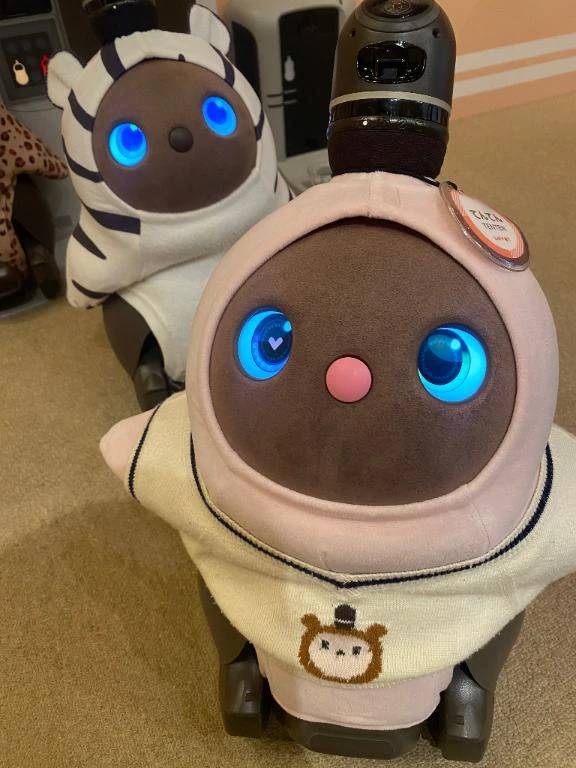 お迎えしたい♡