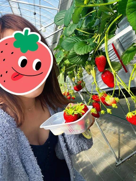 今日のでぶ日記