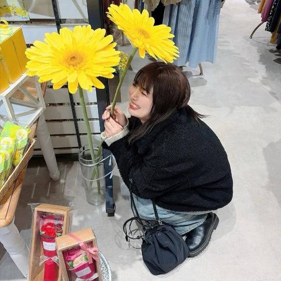 今のはまりもの