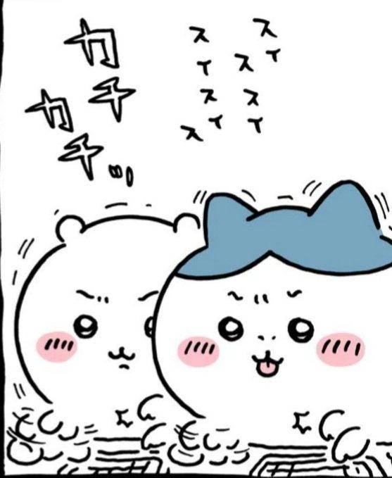 今日はお休みです🙇