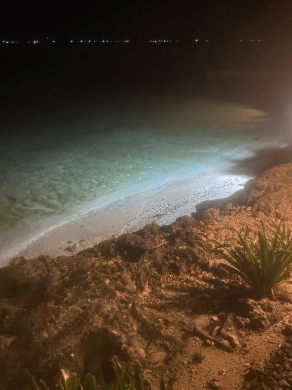 先程のおにいさん♡