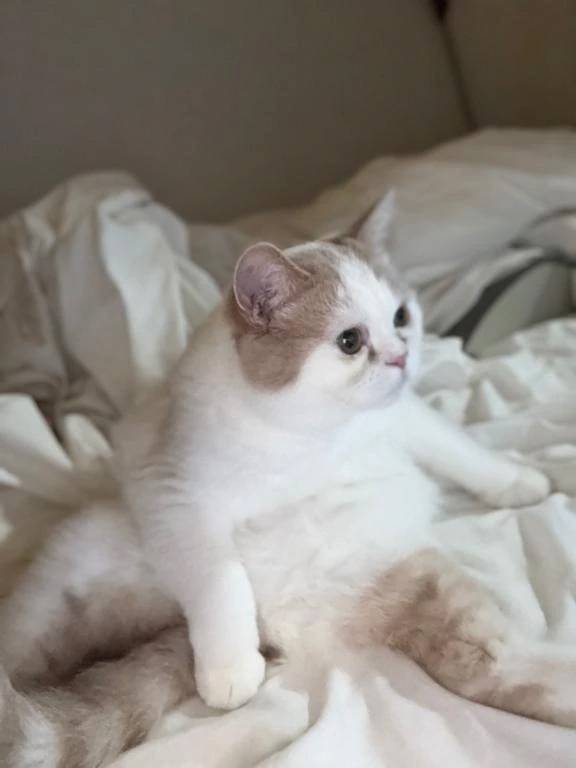 28日〰️出勤です🙇🏻‍♀️´-