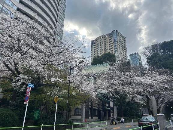 今日10時から‼️