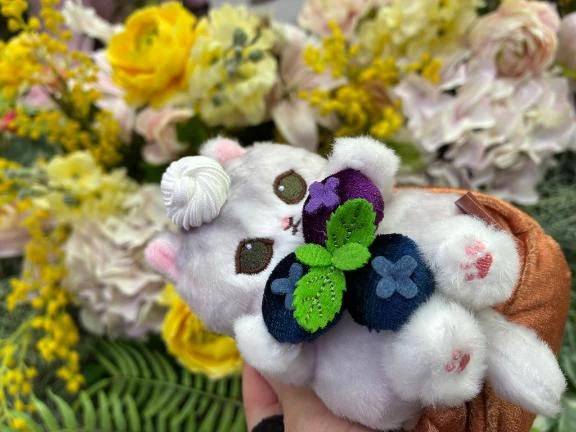 2日連続嬉しい😸💐‼️
