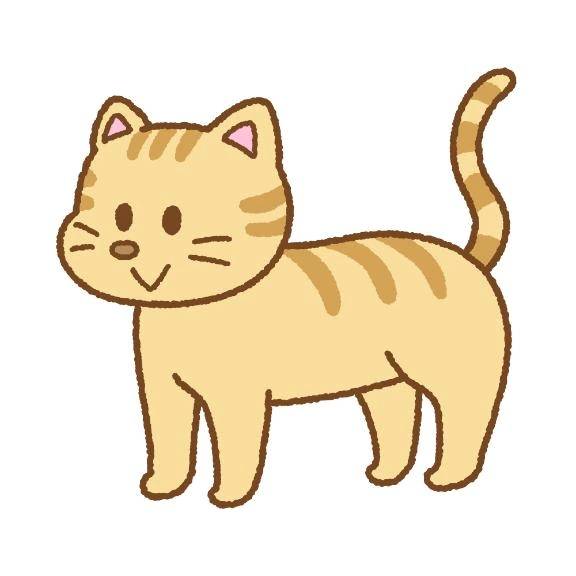 ジェシカの雑談
