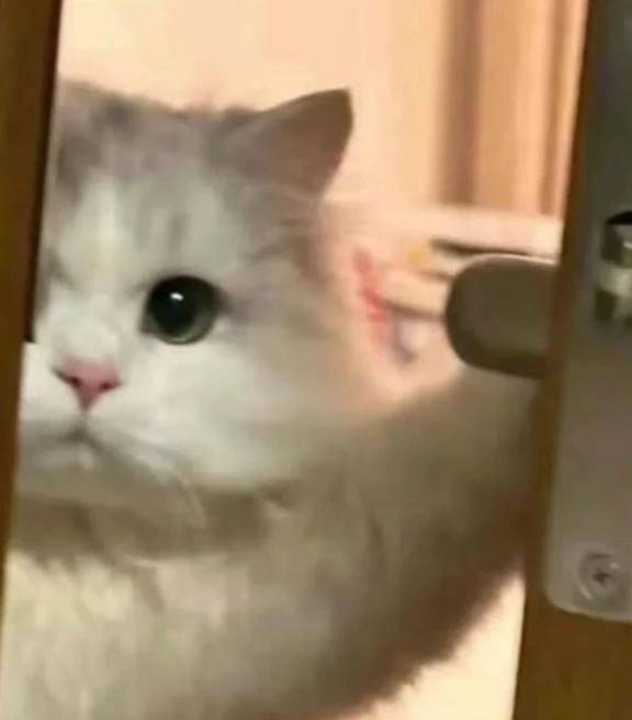 出勤