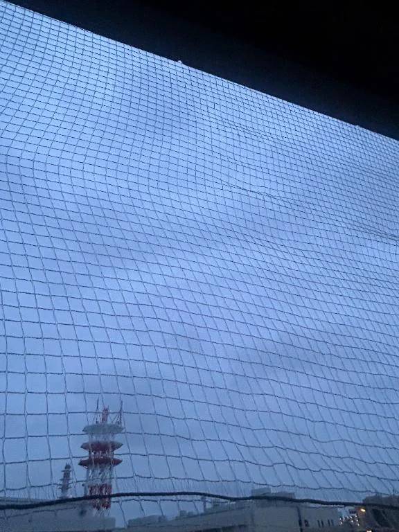 微妙な空模様だなぁ