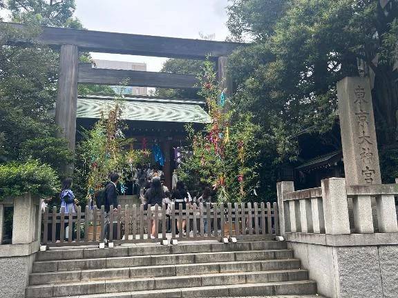 七夕🎋