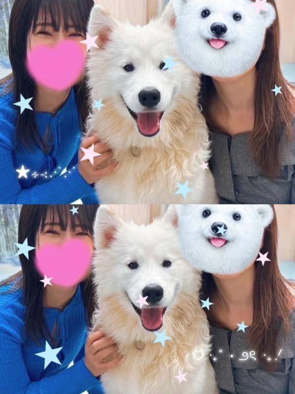 たまに犬派