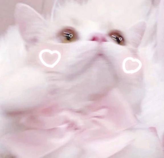 ほんとにありがとう ⸝⸝⸝♡