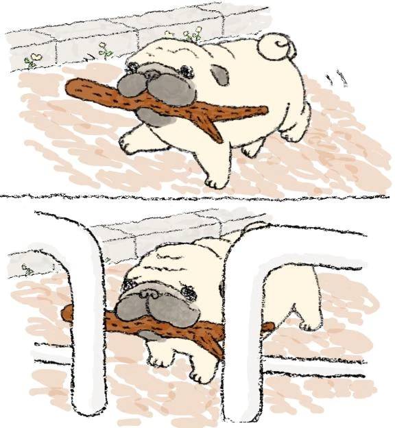 本日も🍑
