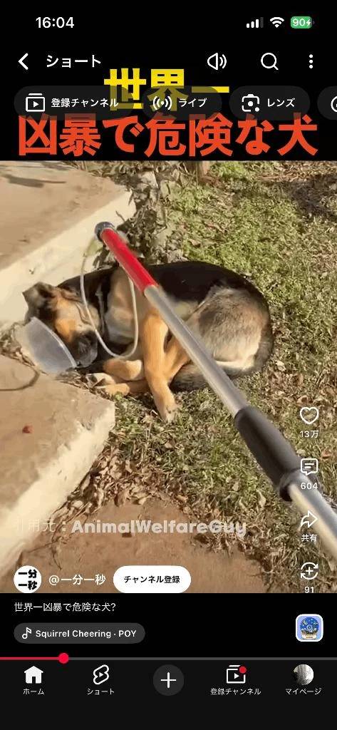 ショート動画見てて吹き出しちゃった