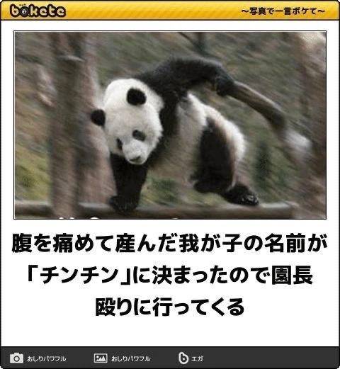 𝙉𝙚𝙭𝙩 ︎⇝🈳