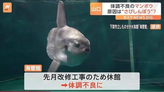 本日も🍑