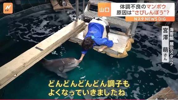 明日以降…