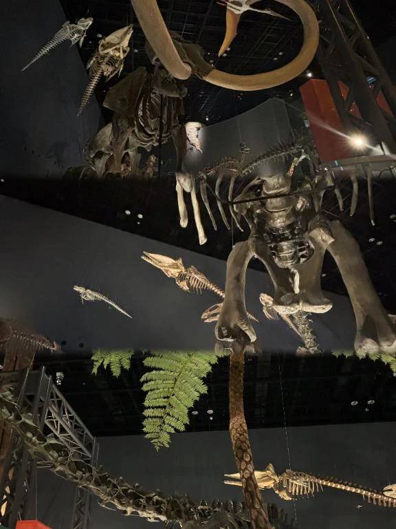 🦖💛