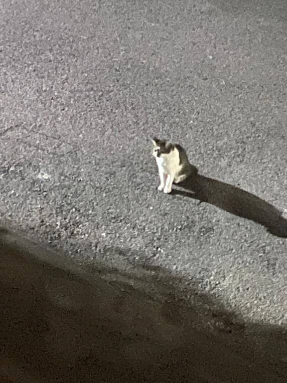初めまして‼️