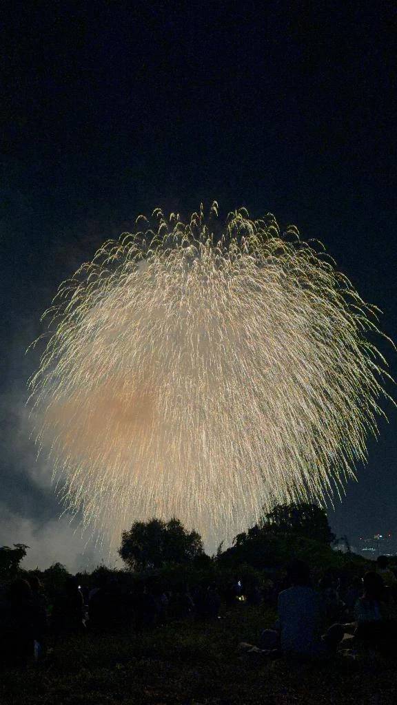(ˆ꜆ . ̫ . ).ᐟ.ᐟ💮
