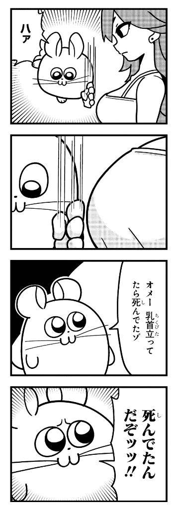 本日🈵