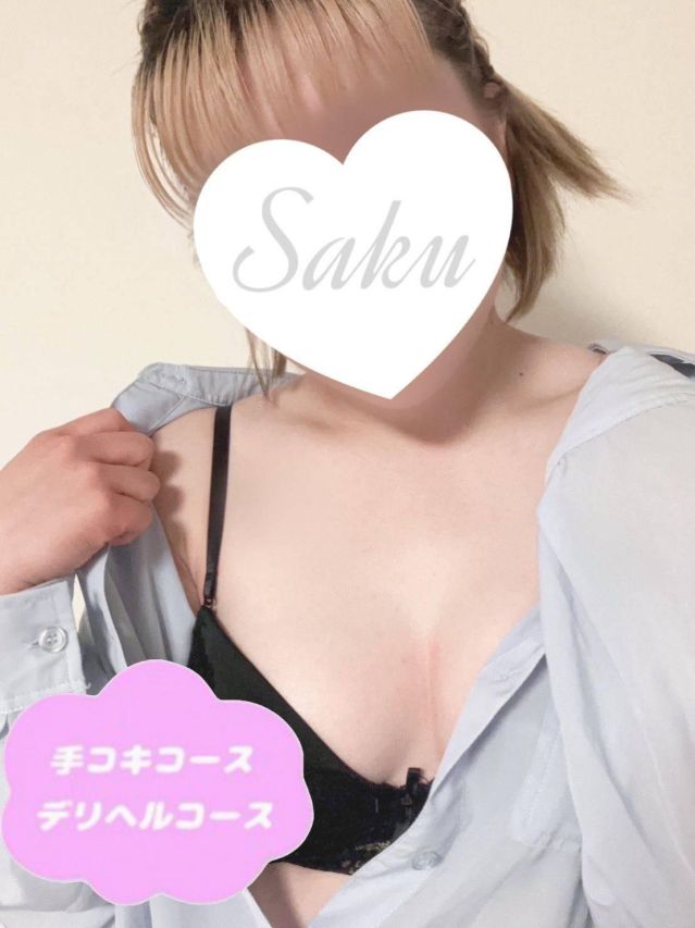 （新潟・新発田 デリヘル）