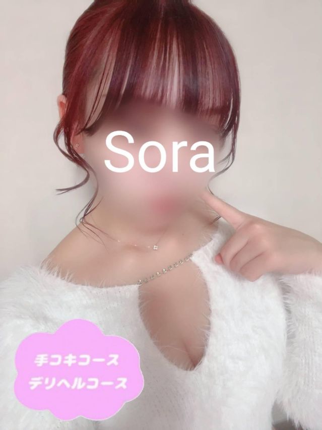 （新潟・新発田 デリヘル）