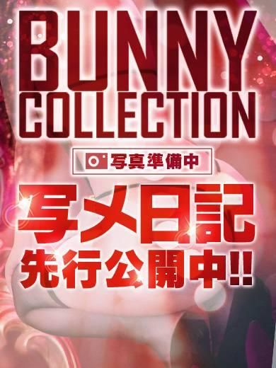 ソラ(新潟バニーコレクション)