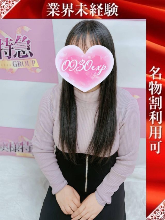 （新潟・新発田 デリヘル）