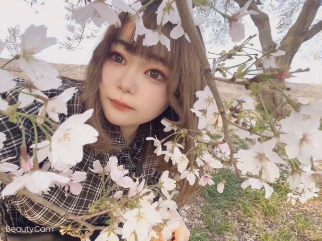 りんご（オレンジハウス）