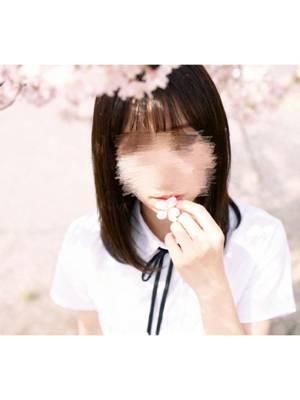 体験入店さくら(BARUBORA)