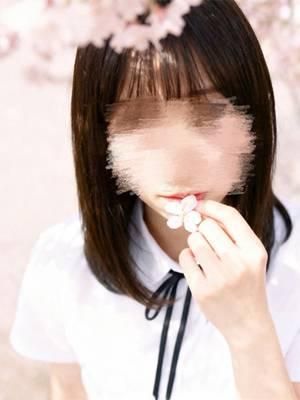 体験入店さくら(BARUBORA)